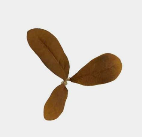 Camo Blade - LC2 - Rust (70stk)