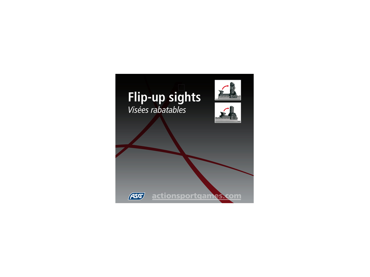 Detachable front and rear flip-up sight