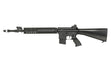 MK12 MOD1 SPR