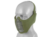 Low-Profile Mesh Mask with Cheek and Ear Protection type A