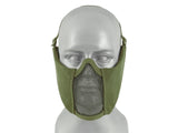 Low-Profile Mesh Mask with Cheek and Ear Protection type A