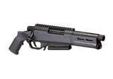 Amoeba Striker AS-03 Bolt Action Sniper Riffel