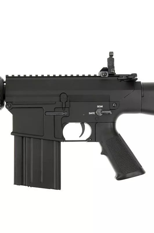 SNR25 DMR Riffel