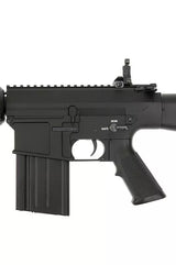 SNR25 DMR Riffel