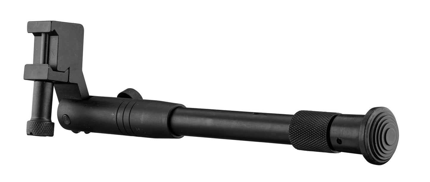 Pendul Bipod