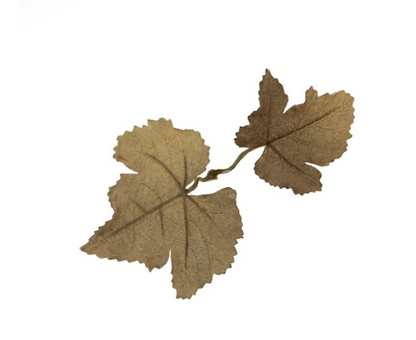 Leaf Camo - LC1