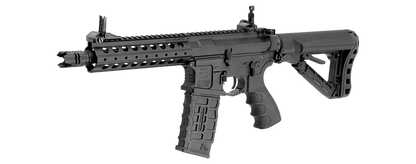 CM16 FFR A2