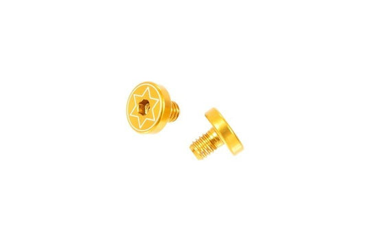 SET GOLD SCREWS FOR 1911