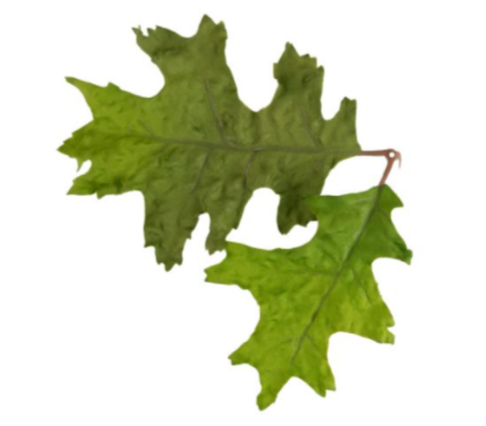 Camo Blade - LC4 - Oak Green (50stk)